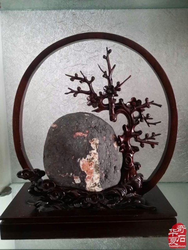 深受石界喜欢的洛阳荷花石如何鉴赏