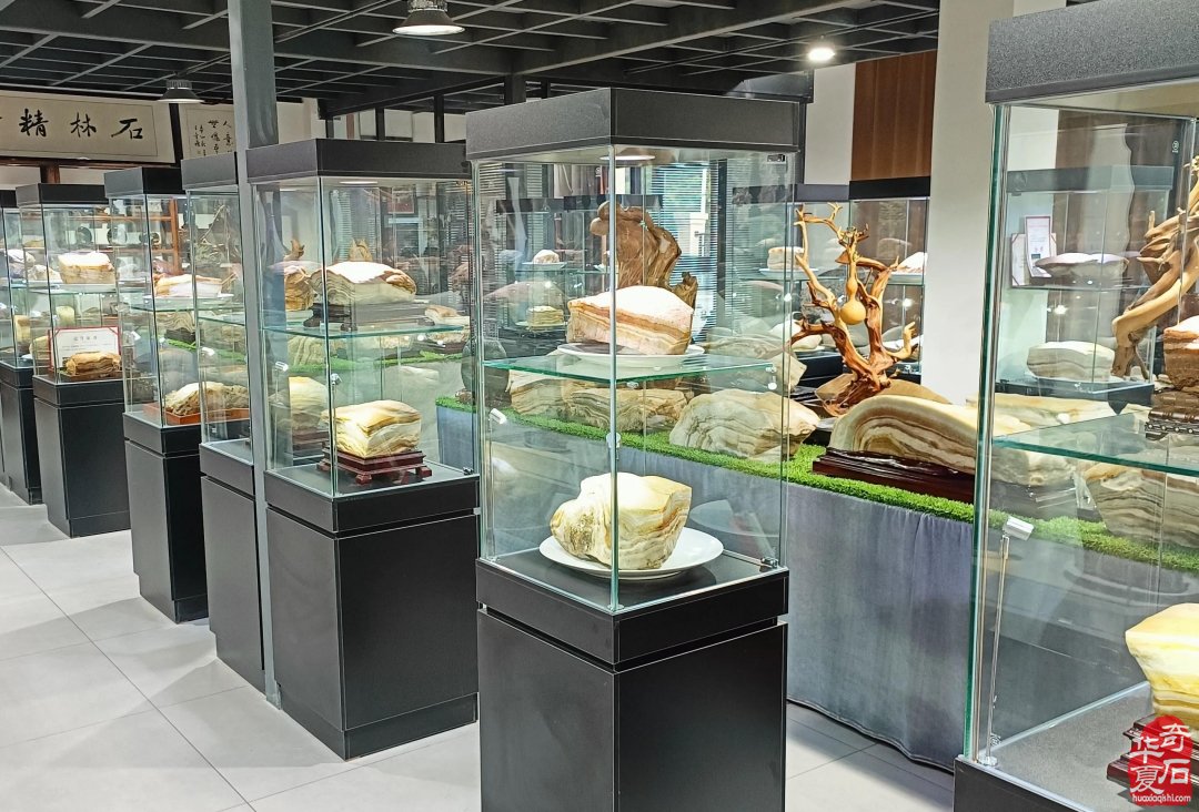 收藏人生：记宝丰企业家王长江的收藏情缘