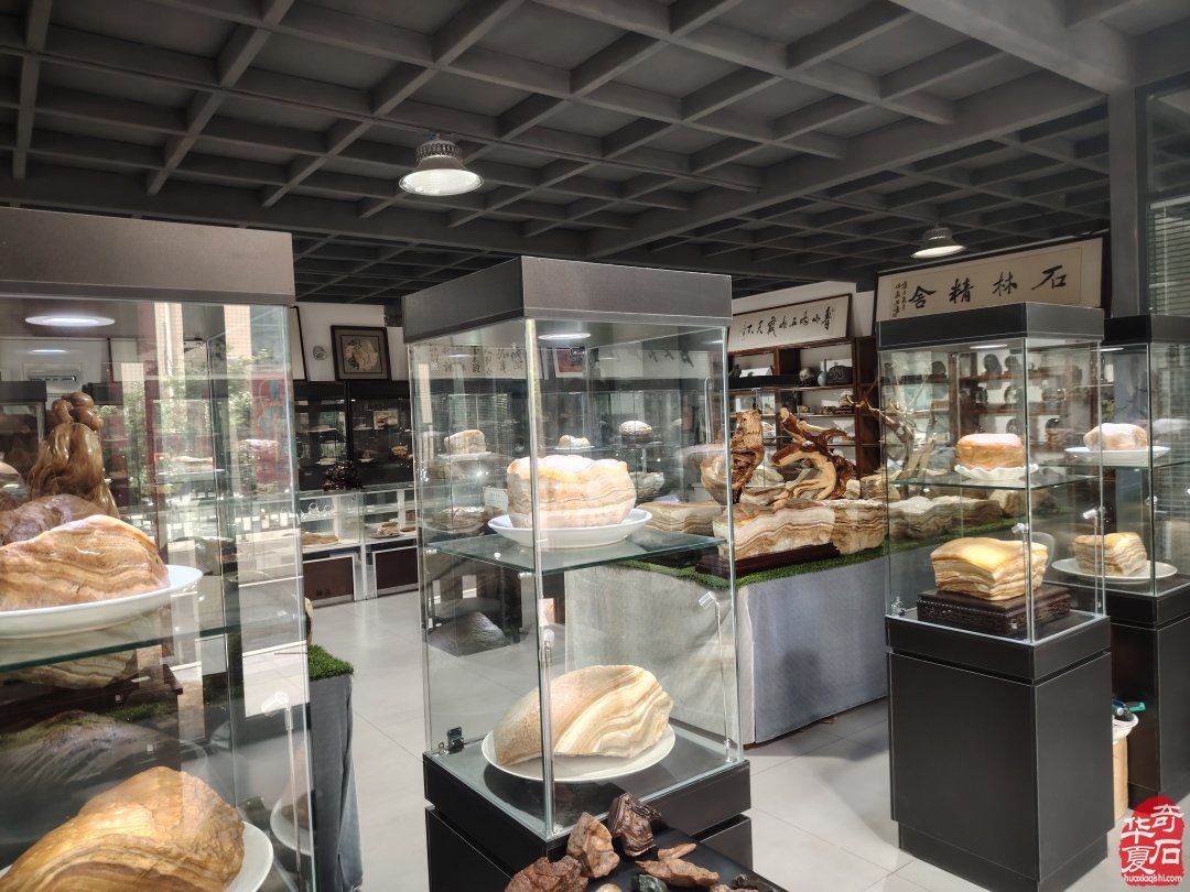 收藏人生：记宝丰企业家王长江的收藏情缘