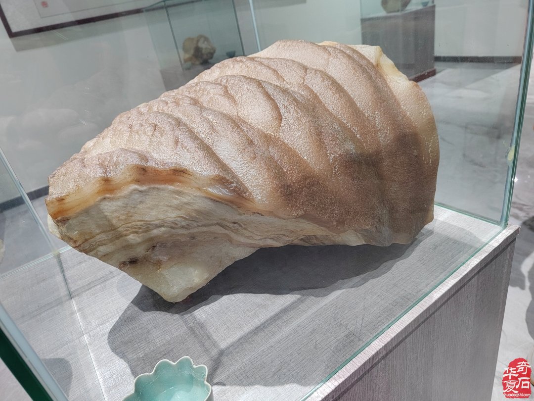 收藏人生：记宝丰企业家王长江的收藏情缘