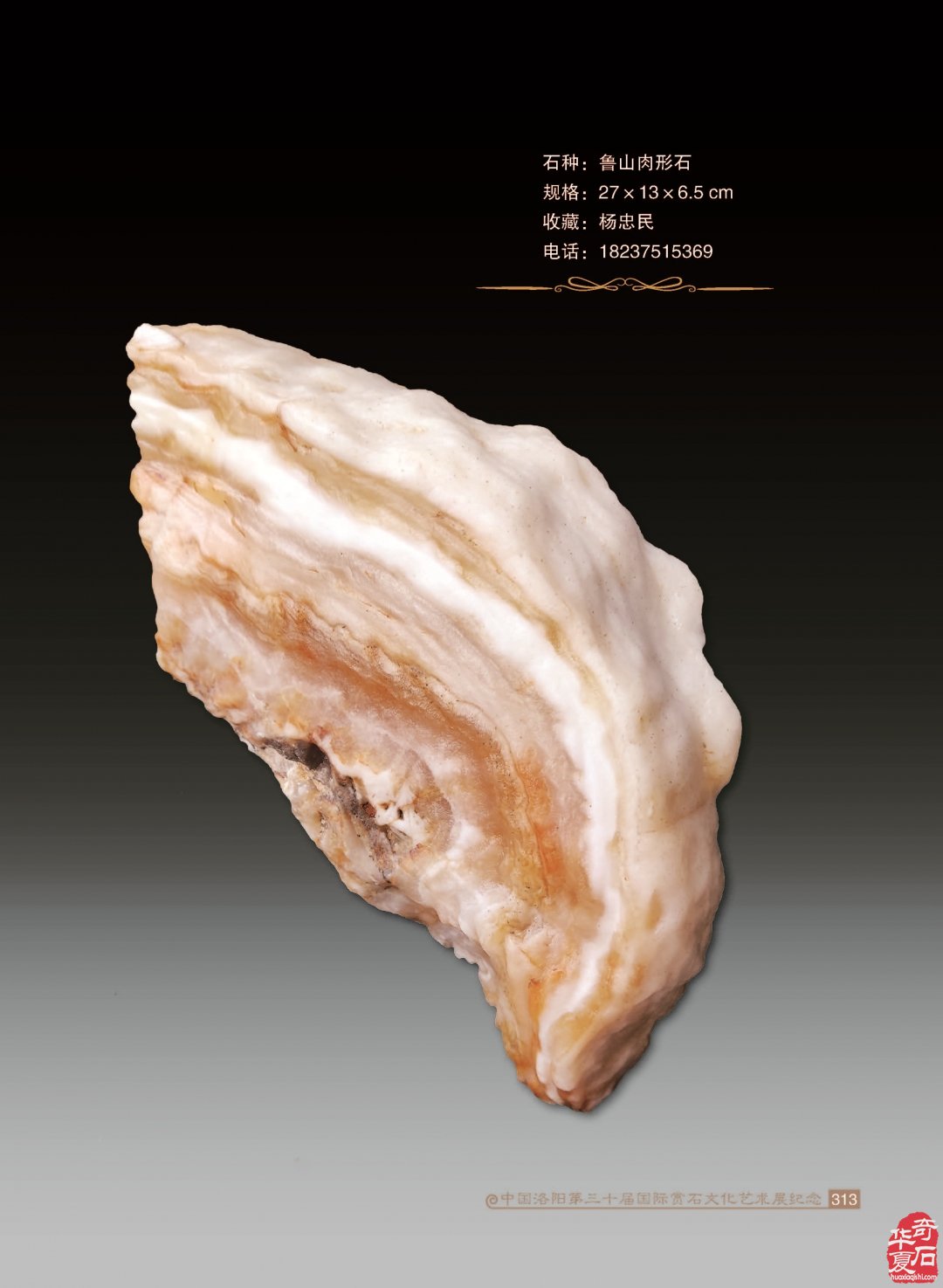 收藏人生：记宝丰企业家王长江的收藏情缘