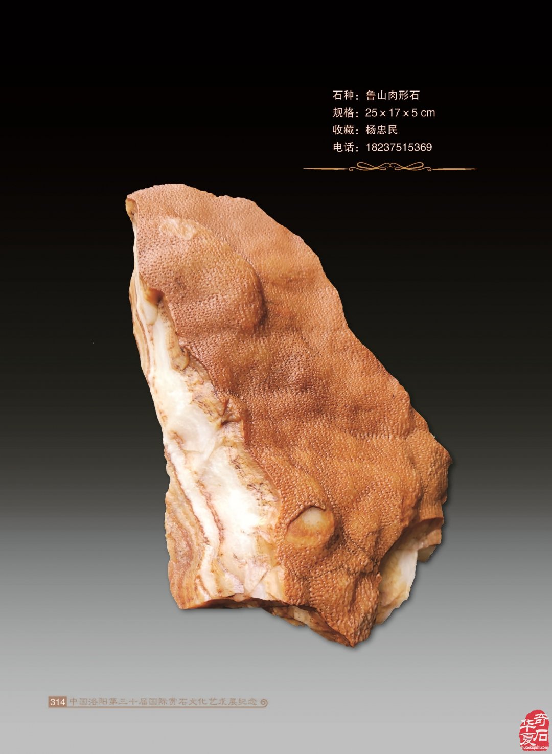 收藏人生：记宝丰企业家王长江的收藏情缘