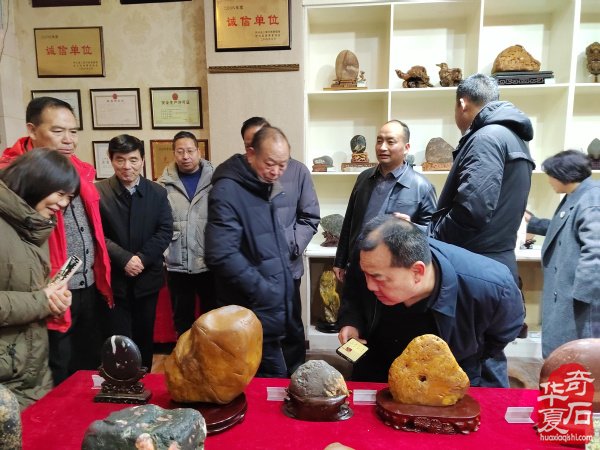 洛阳市赏石协会在伊川开展迎新春活动