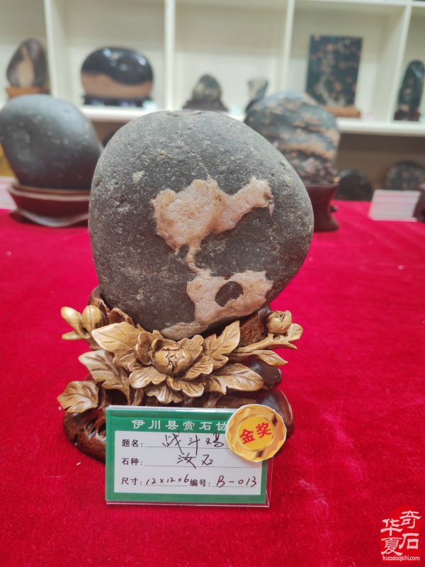 洛阳市赏石协会在伊川开展迎新春活动