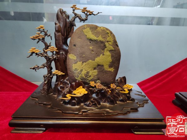 洛阳市赏石协会在伊川开展迎新春活动