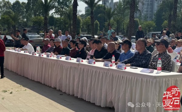 第25届中国(成都)国际赏石文化博览会