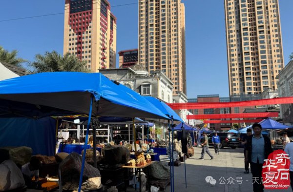 第25届中国(成都)国际赏石文化博览会