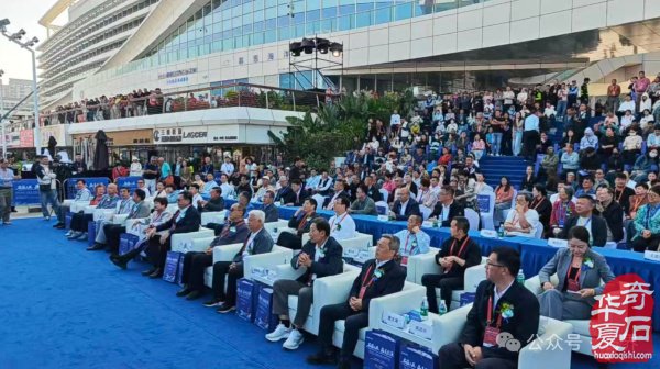 2026海南三亚观赏石博览会盛大开幕 天外陨石引爆现场