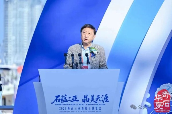 2026海南三亚观赏石博览会盛大开幕 天外陨石引爆现场