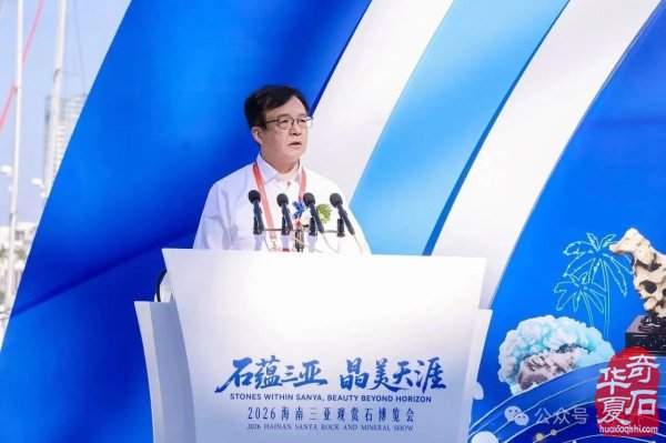 2026海南三亚观赏石博览会盛大开幕 天外陨石引爆现场
