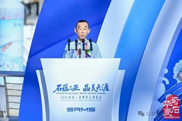 2026海南三亚观赏石博览会盛大开幕 天外陨石引爆现场