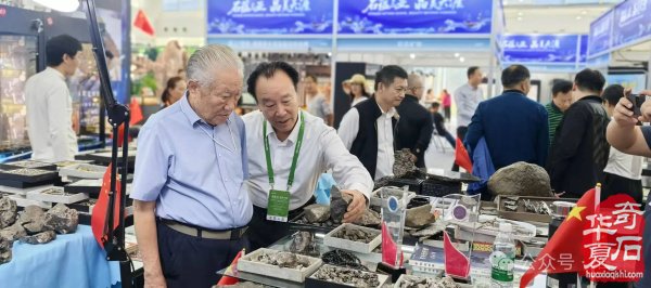2026海南三亚观赏石博览会盛大开幕 天外陨石引爆现场