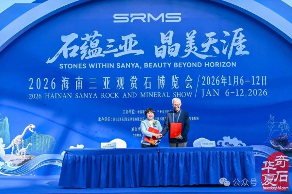 2026海南三亚观赏石博览会盛大开幕 天外陨石引爆现场
