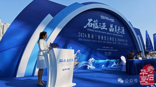 2026海南三亚观赏石博览会盛大开幕 天外陨石引爆现场