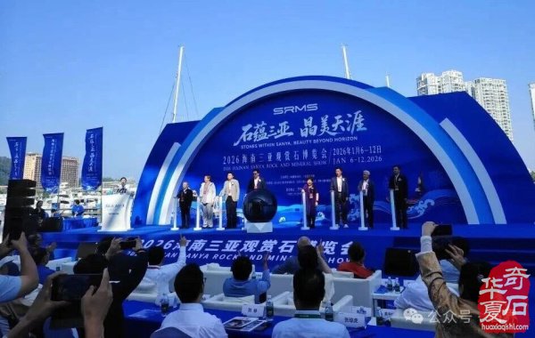 2026海南三亚观赏石博览会盛大开幕 天外陨石引爆现场
