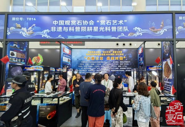 2026海南三亚观赏石博览会盛大开幕 天外陨石引爆现场