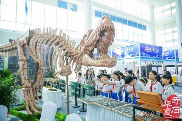 2026海南三亚观赏石博览会盛大开幕 天外陨石引爆现场