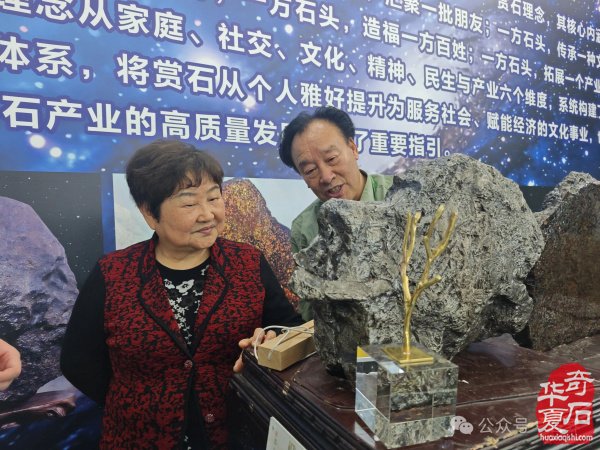 2026海南三亚观赏石博览会盛大开幕 天外陨石引爆现场