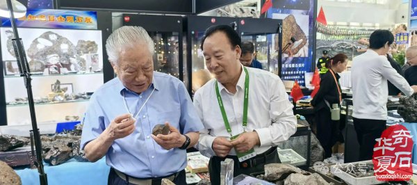 2026海南三亚观赏石博览会盛大开幕 天外陨石引爆现场