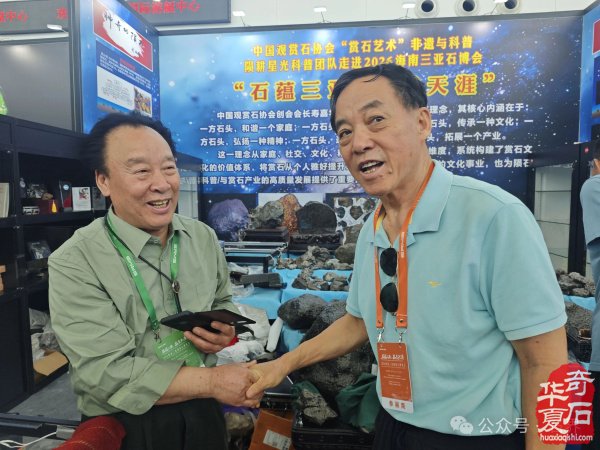 2026海南三亚观赏石博览会盛大开幕 天外陨石引爆现场
