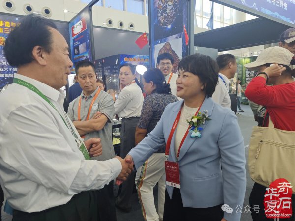 2026海南三亚观赏石博览会盛大开幕 天外陨石引爆现场
