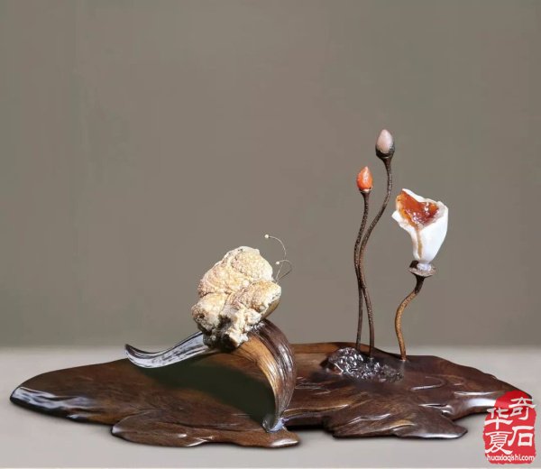 赏石不再是富人的游戏它适合于各阶层人群