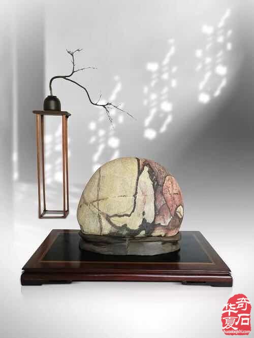 赏石不再是富人的游戏它适合于各阶层人群