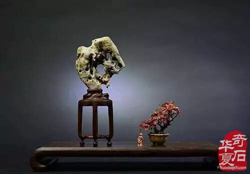 雅居中摆放精美奇石的妙处 图