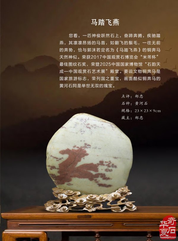 新一期《于公赏石》杂志上线啦