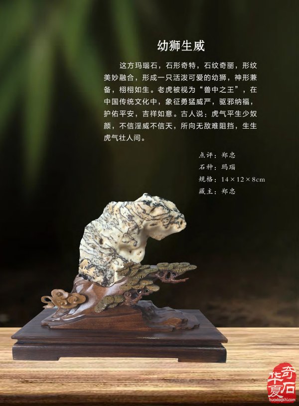 新一期《于公赏石》杂志上线啦