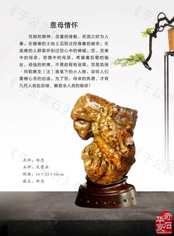 新一期《于公赏石》杂志上线啦