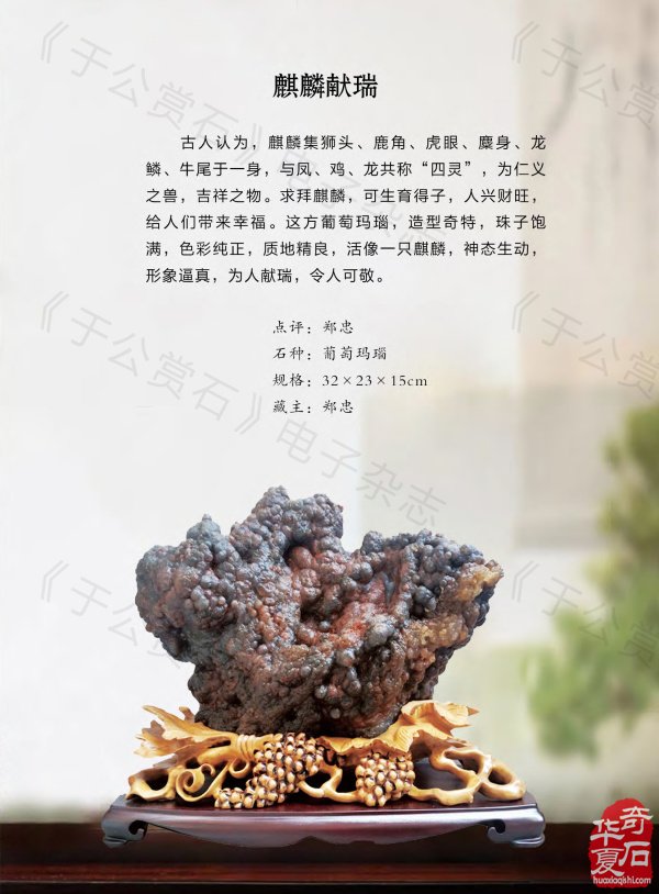 新一期《于公赏石》杂志上线啦