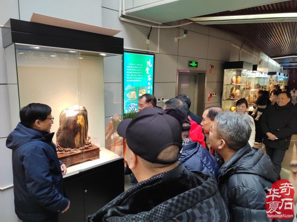 热烈祝贺西安观赏石协会年会召开