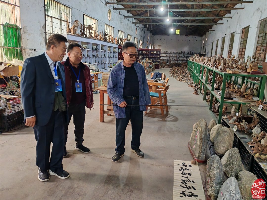 贺洛阳三十四石展:天工载万象 石木演西游