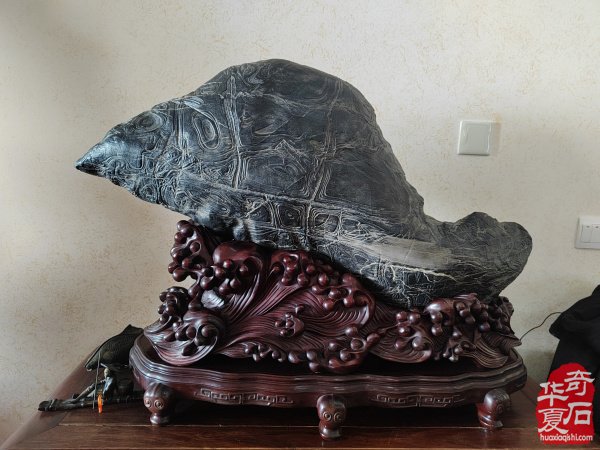 石韵洛阳 纹藏天下 —— 专访加拿大观赏石协会会长栾永军