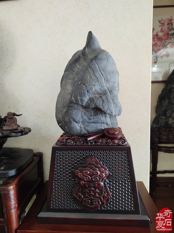 石韵洛阳 纹藏天下 —— 专访加拿大观赏石协会会长栾永军