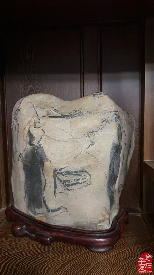 石韵洛阳 纹藏天下 —— 专访加拿大观赏石协会会长栾永军