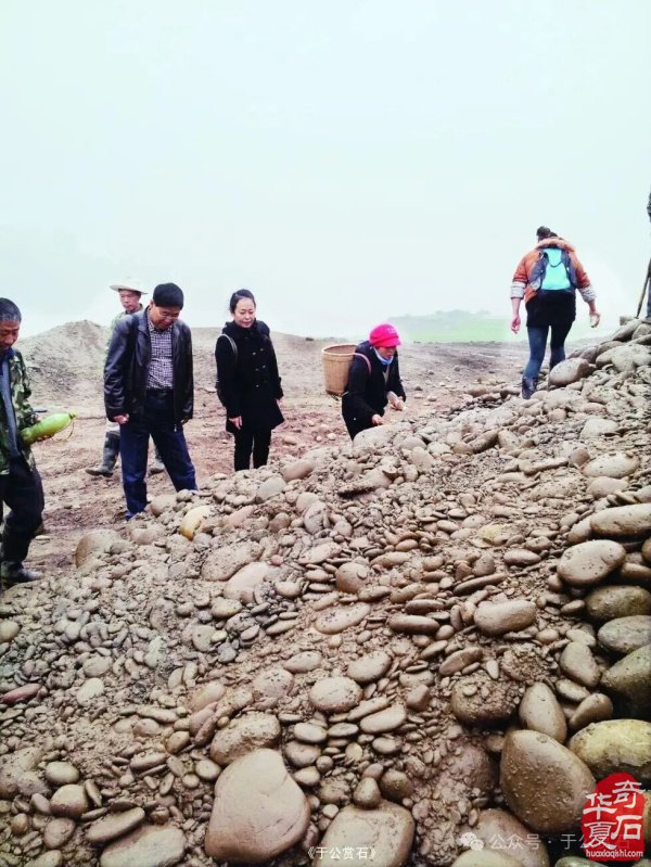 退有所作 休有所为 生命不息 赏石不止 ——退休军人郑忠献身赏石文化事迹