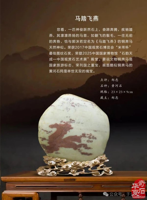 退有所作 休有所为 生命不息 赏石不止 ——退休军人郑忠献身赏石文化事迹