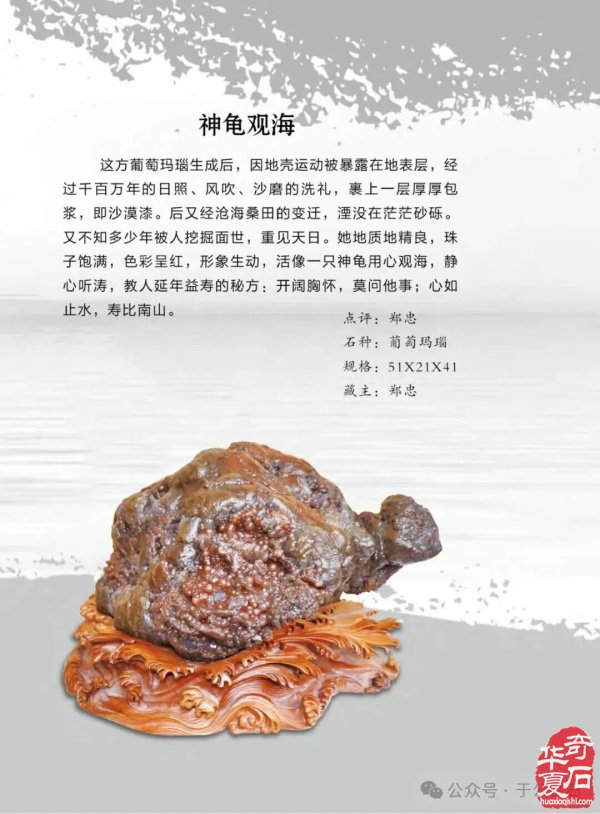 退有所作 休有所为 生命不息 赏石不止 ——退休军人郑忠献身赏石文化事迹