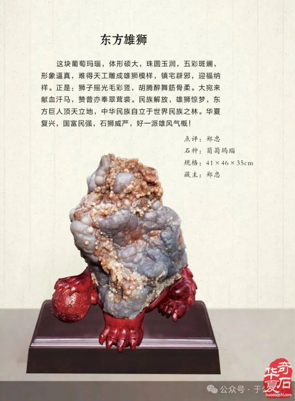 退有所作 休有所为 生命不息 赏石不止 ——退休军人郑忠献身赏石文化事迹