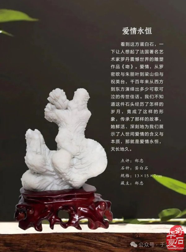 退有所作 休有所为 生命不息 赏石不止 ——退休军人郑忠献身赏石文化事迹