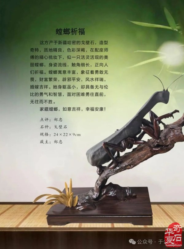 退有所作 休有所为 生命不息 赏石不止 ——退休军人郑忠献身赏石文化事迹