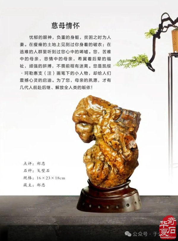 退有所作 休有所为 生命不息 赏石不止 ——退休军人郑忠献身赏石文化事迹