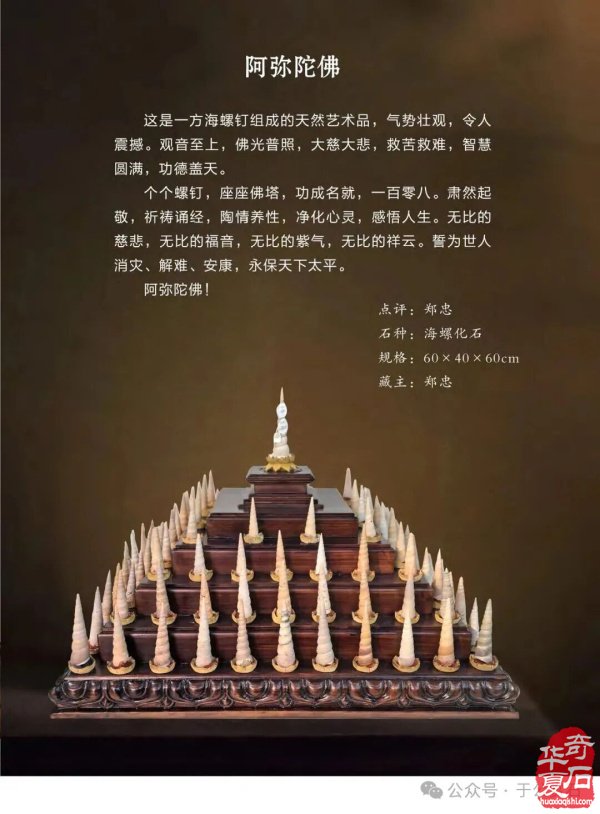 退有所作 休有所为 生命不息 赏石不止 ——退休军人郑忠献身赏石文化事迹