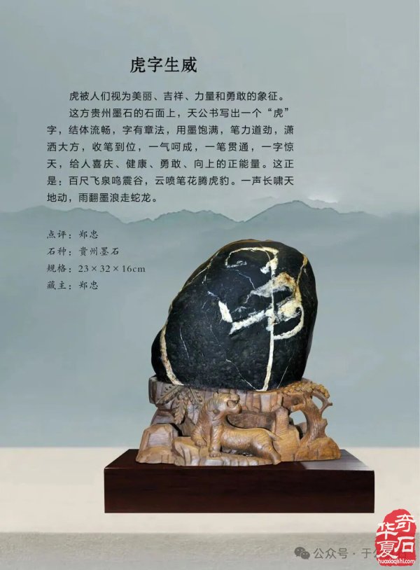 退有所作 休有所为 生命不息 赏石不止 ——退休军人郑忠献身赏石文化事迹