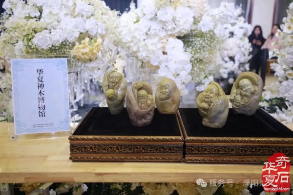 濮阳市赏石协会成立二十周年庆典