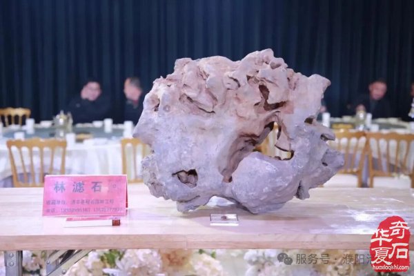 濮阳市赏石协会成立二十周年庆典