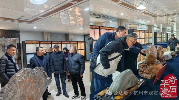 杭州市观赏石协会中石协黄蜡石专委会新春年会圆满举行