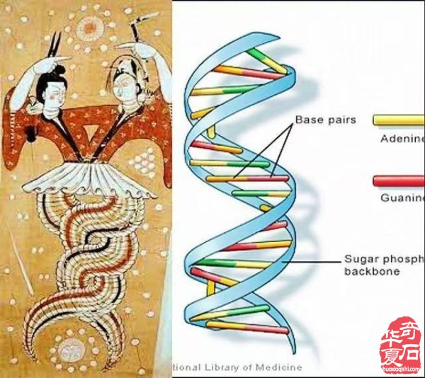 黄河画面石《伏羲女娲》中的石文化